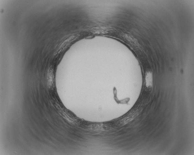 X0000081571444200702051202