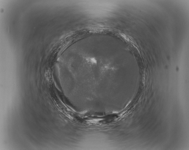 X0000081571445200702051202