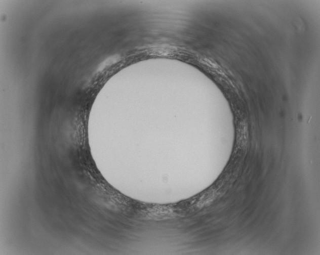 X0000081571446200702051202