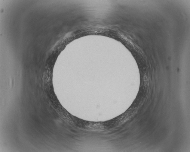 X0000081571447200702051202