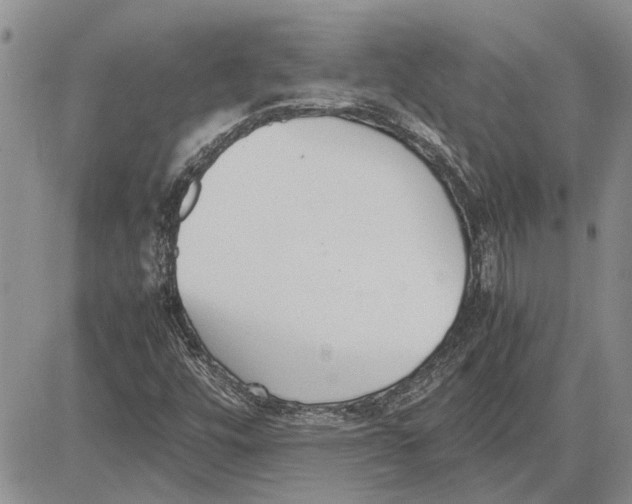 X0000081571448200702051202