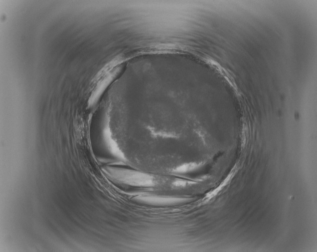 X0000081571449200702051202