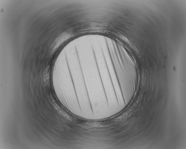 X0000081571450200702051202