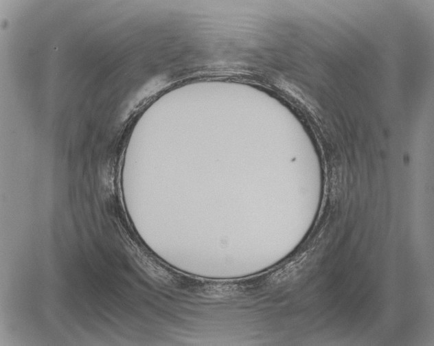 X0000081571451200702051202