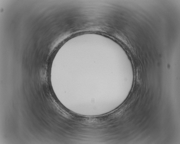 X0000081571452200702051202