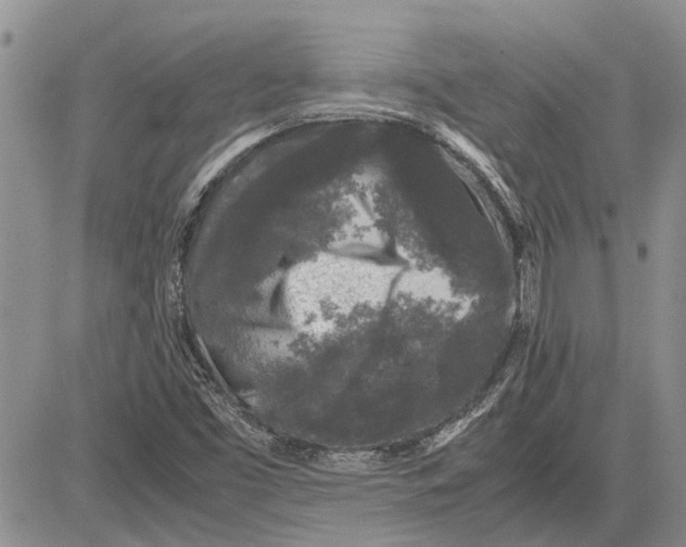 X0000081571453200702051202