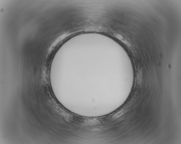 X0000081571454200702051202