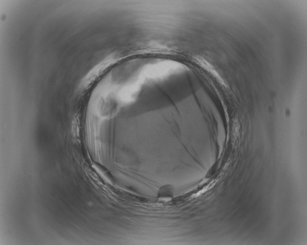 X0000081571455200702051202