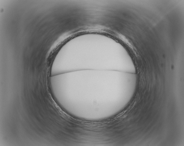 X0000081571456200702051202