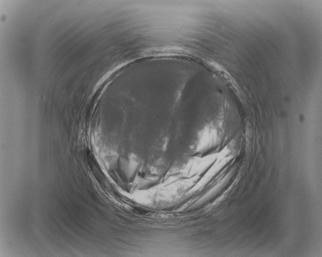 X0000081571457200702051202