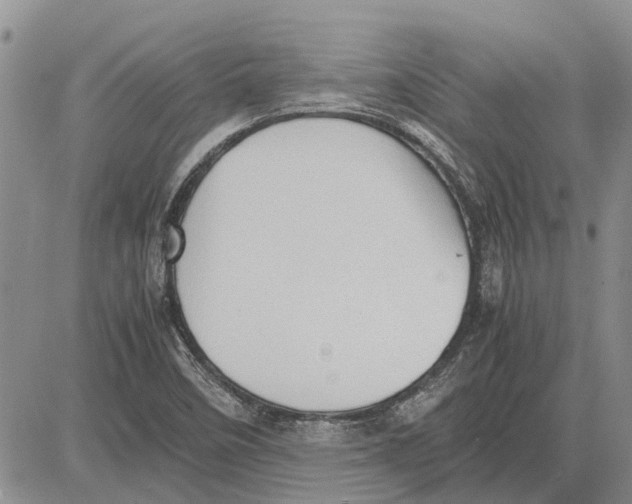 X0000081571458200702051202