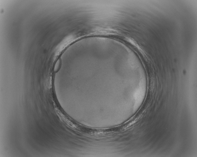 X0000081571459200702051202