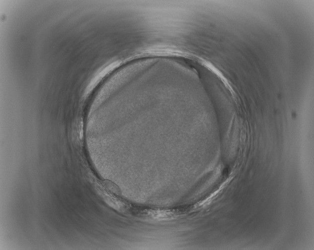 X0000081571461200702051202