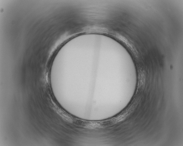 X0000081571462200702051202