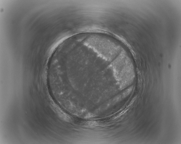 X0000081571463200702051202