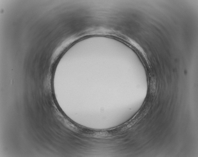 X0000081571464200702051202