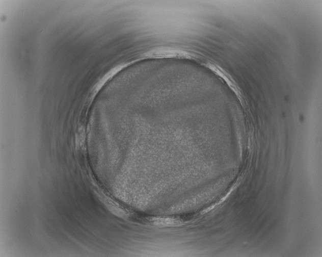 X0000081571465200702051202