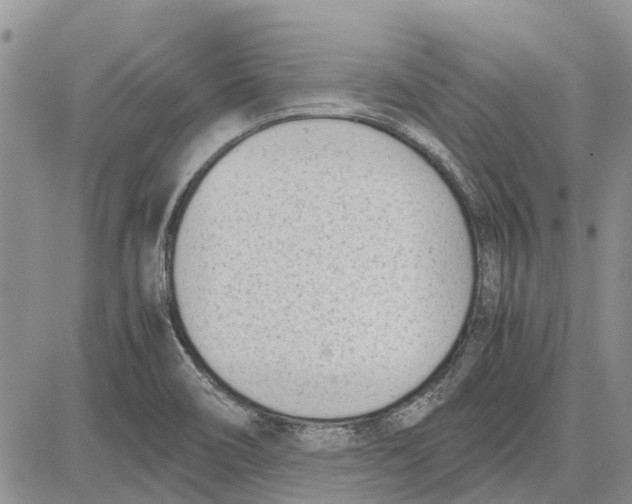 X0000081571466200702051202