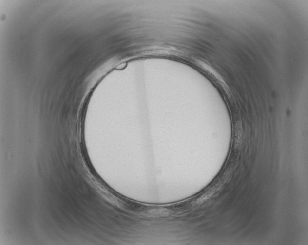 X0000081571467200702051202