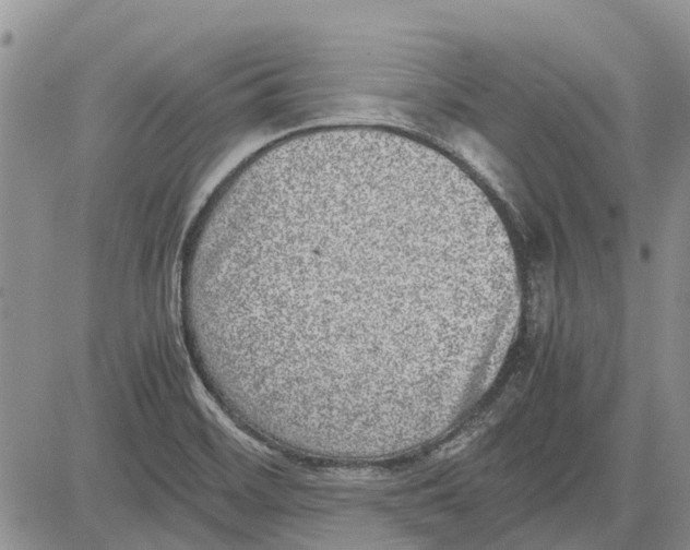 X0000081571468200702051202