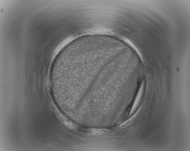 X0000081571469200702051202