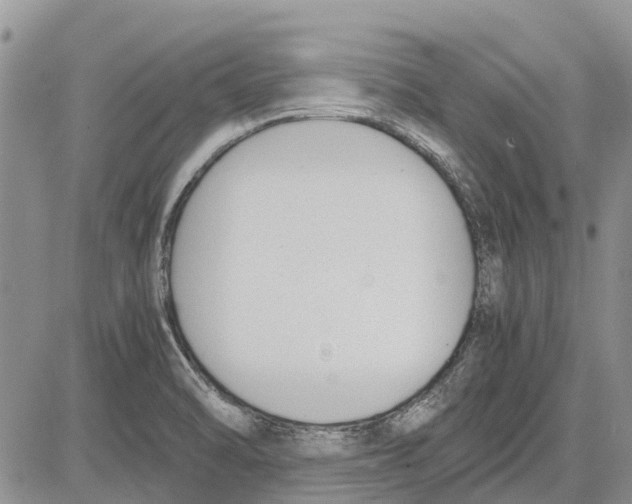 X0000081571470200702051202