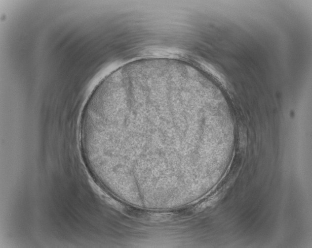 X0000081571471200702051202