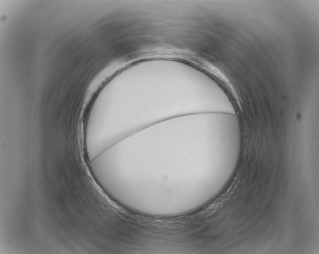 X0000081571472200702051202