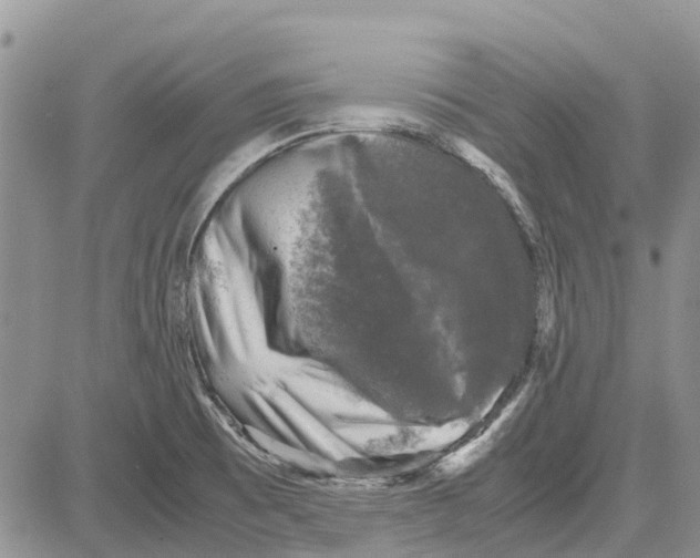 X0000081571473200702051202