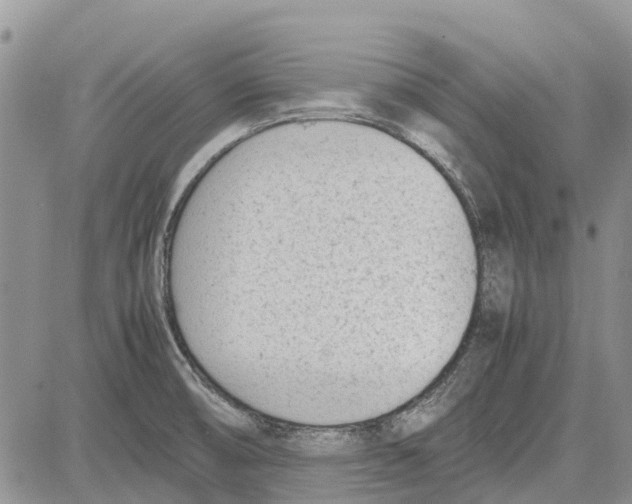 X0000081571474200702051202