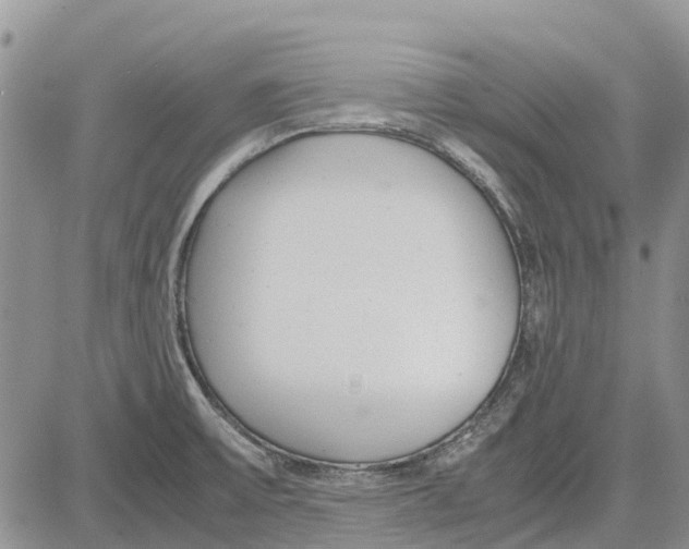 X0000081571475200702051202