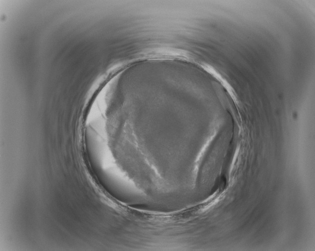 X0000081571477200702051202