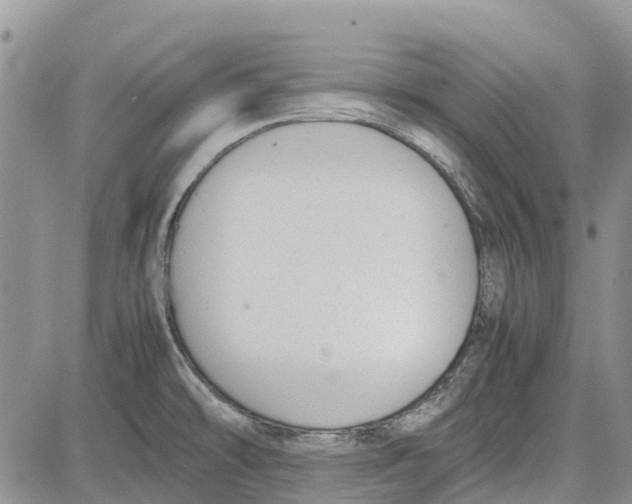 X0000081571478200702051202