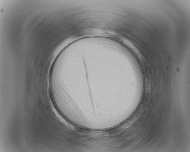 X0000081571479200702051202