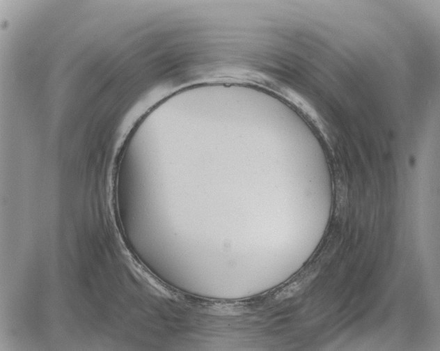 X0000081571480200702051202