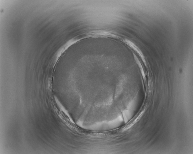 X0000081571481200702051202