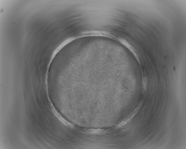 X0000081571482200702051202