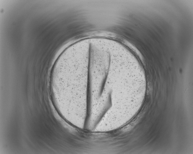 X0000081571483200702051202