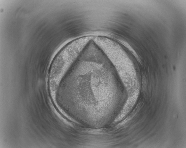 X0000081571484200702051202