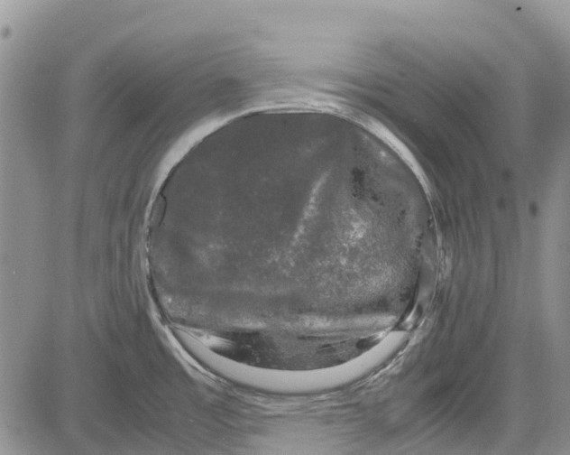 X0000081571485200702051202