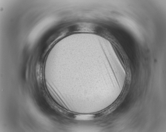 X0000081571487200702051202