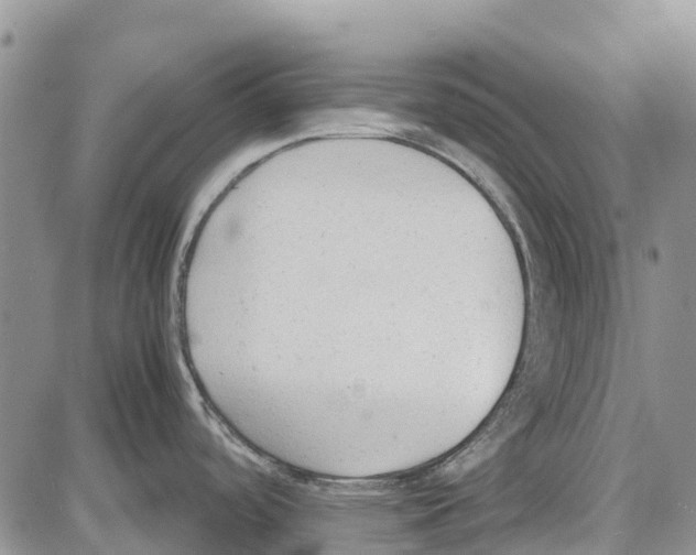 X0000081571488200702051202