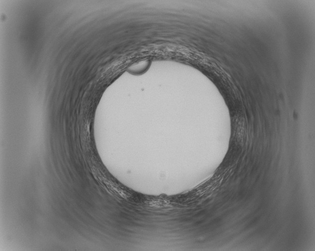 X0000081571489200702051201