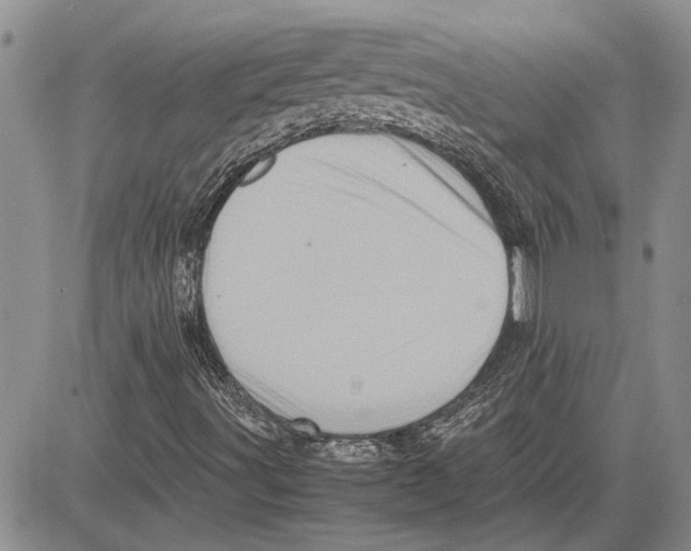 X0000081571491200702051201