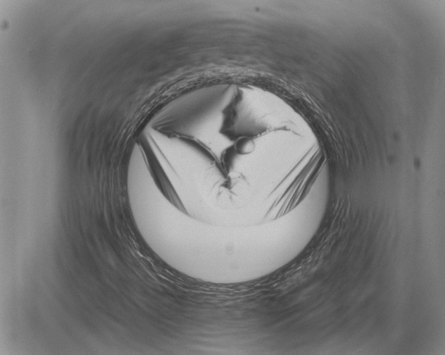 X0000081571492200702051201