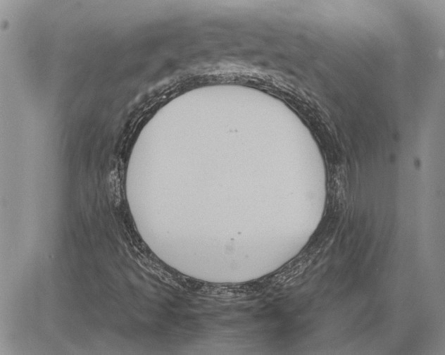 X0000081571493200702051201