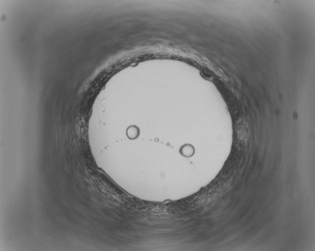 X0000081571495200702051201