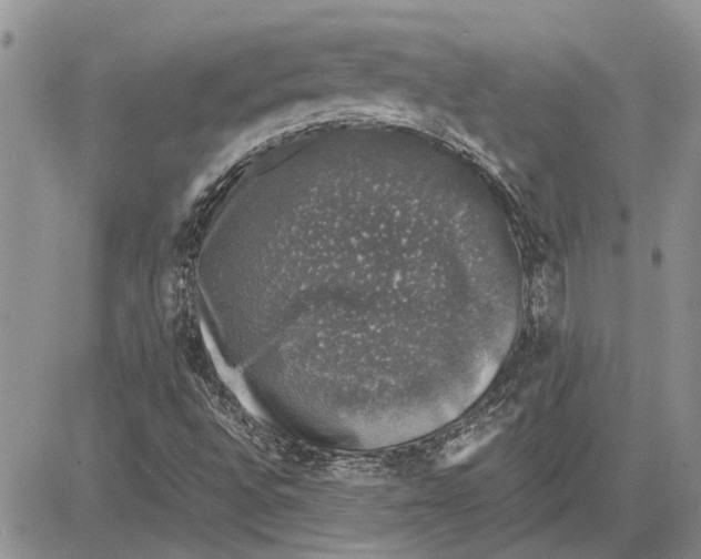 X0000081571496200702051201