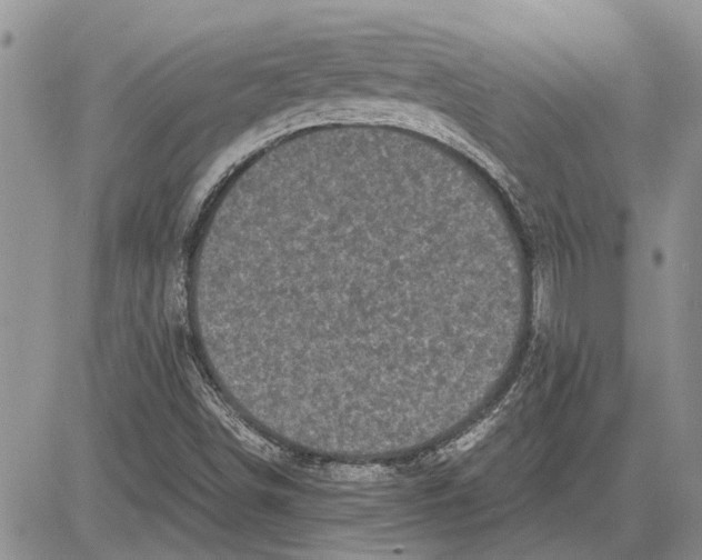 X0000081571498200702051201