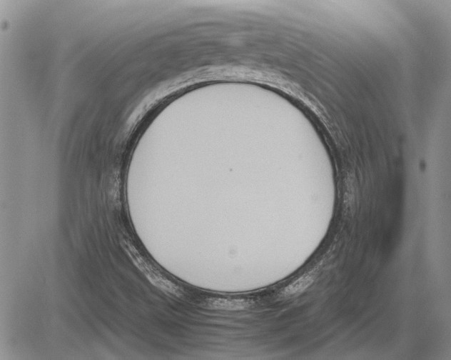 X0000081571499200702051201